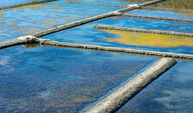 marais salants guérande