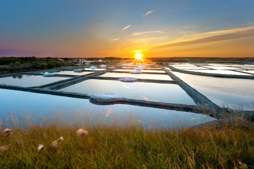 Cœillets et bassins d'évaporation des marais salants du bassin du Mès en presqu'île de Guérande